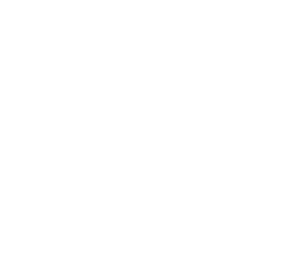 The Living Room